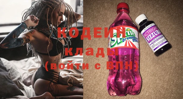 дурь Арсеньев
