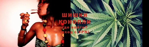 дурь Арсеньев