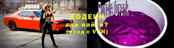 дурь Арсеньев