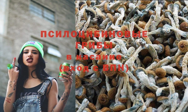 дурь Арсеньев