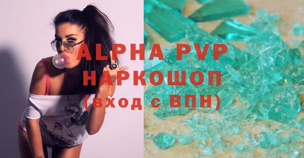 прущие грибы Осинники